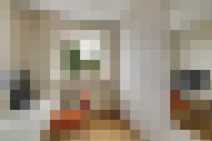 Mahlersingel 24 Nieuwegein thumbnail 23