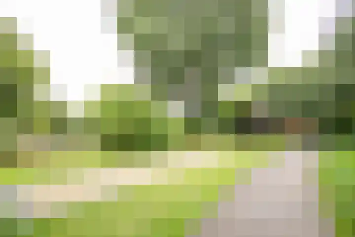 Mahlersingel 24 Nieuwegein thumbnail 42