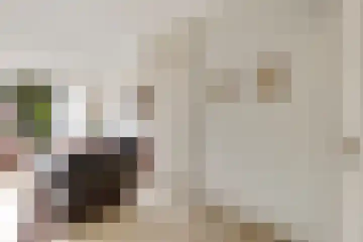 Mahlersingel 24 Nieuwegein thumbnail 6
