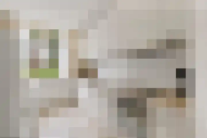 Mahlersingel 24 Nieuwegein thumbnail 8