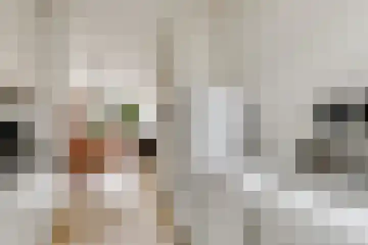 Mahlersingel 24 Nieuwegein thumbnail 9