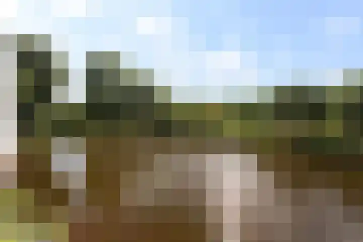 Mahlersingel 38 Rotterdam thumbnail 17