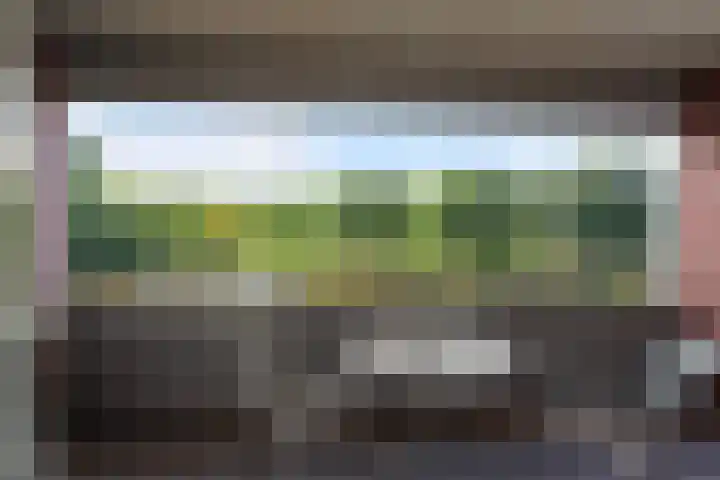 Mahlersingel 38 Rotterdam thumbnail 5