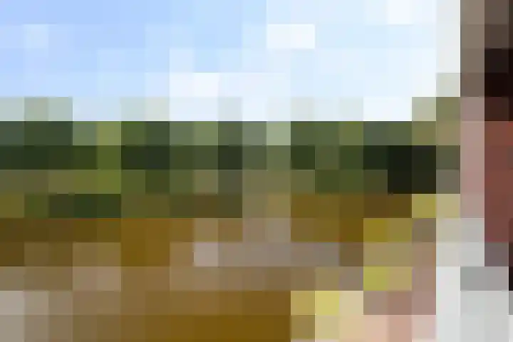 Mahlersingel 38 Rotterdam thumbnail 6