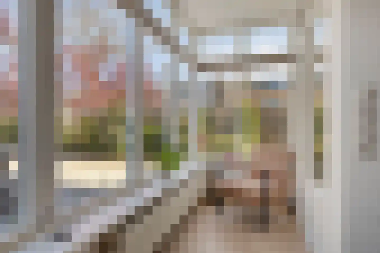 Mahlerstraat 1 Lisse thumbnail 13
