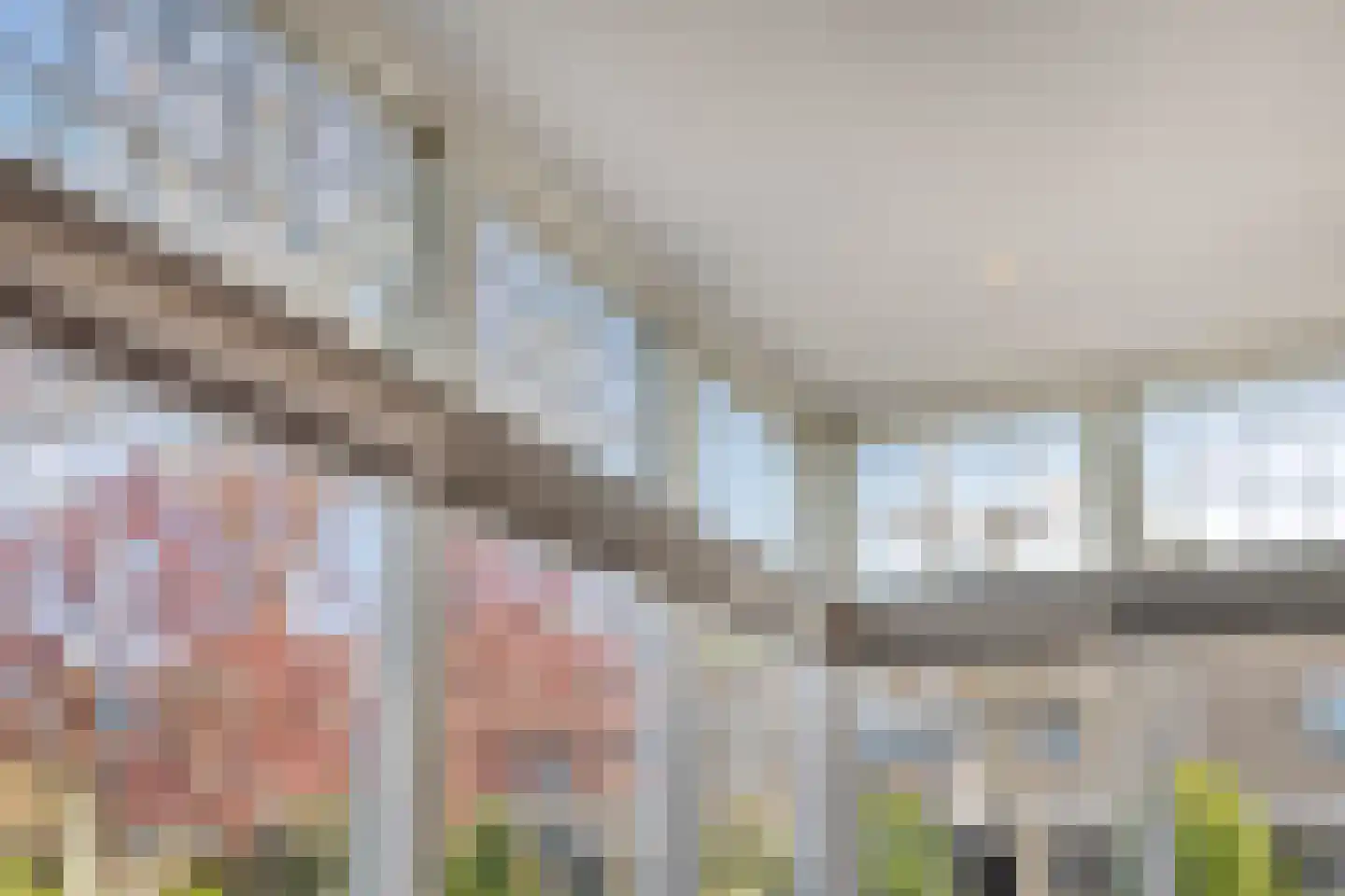 Mahlerstraat 1 Lisse thumbnail 14
