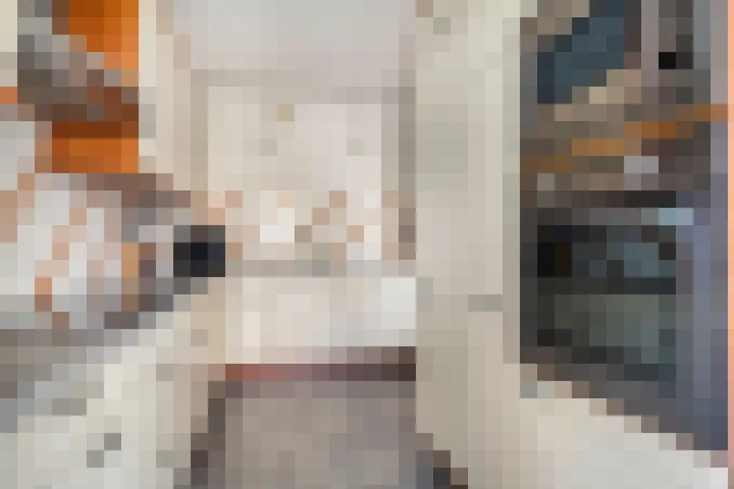 Mahlerstraat 1 Lisse thumbnail 17