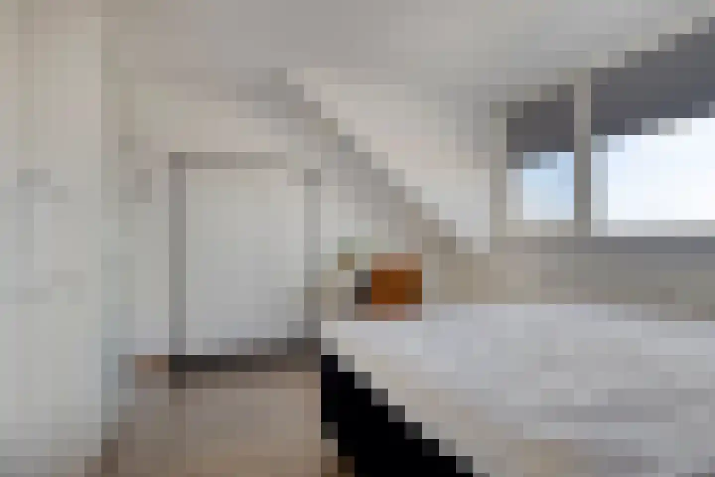 Mahlerstraat 1 Lisse thumbnail 27