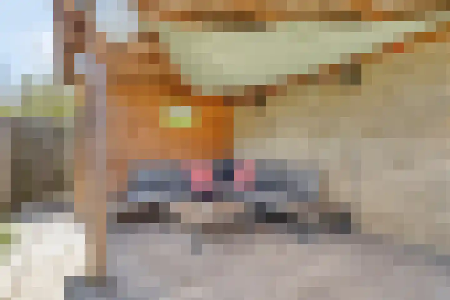 Mahlerstraat 1 Lisse thumbnail 30