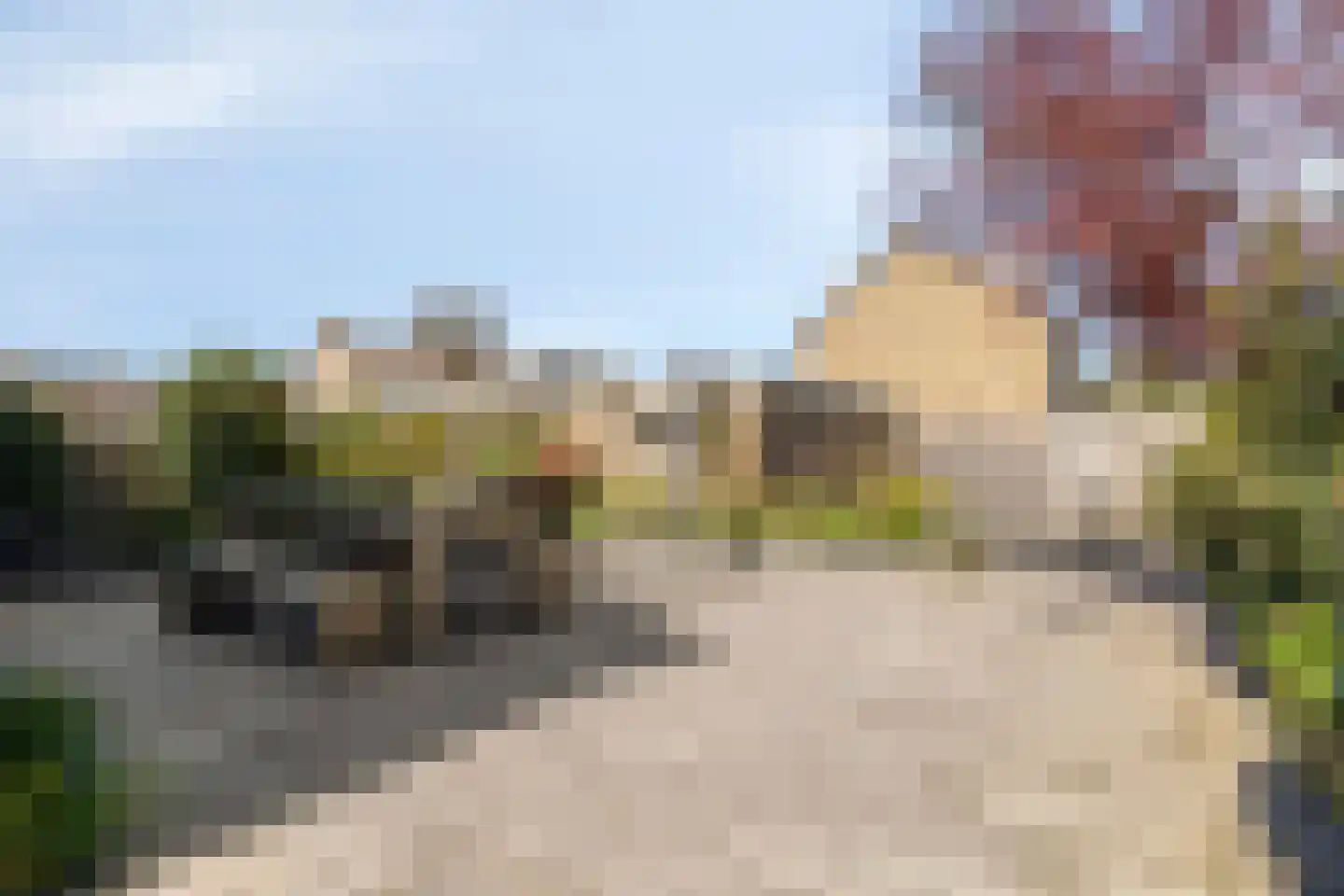 Mahlerstraat 1 Lisse thumbnail 32