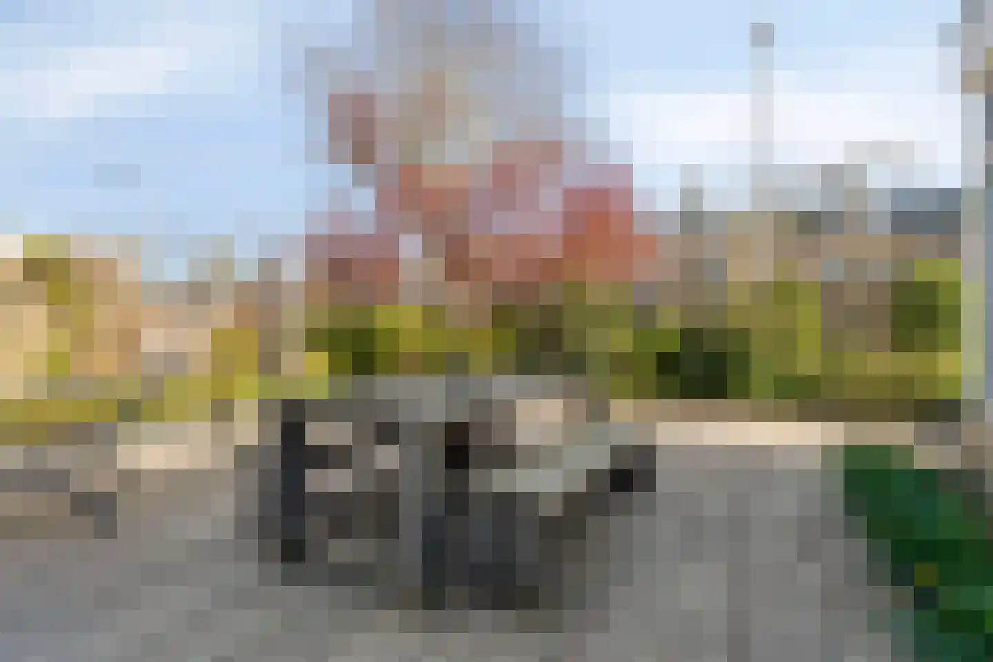 Mahlerstraat 1 Lisse thumbnail 34