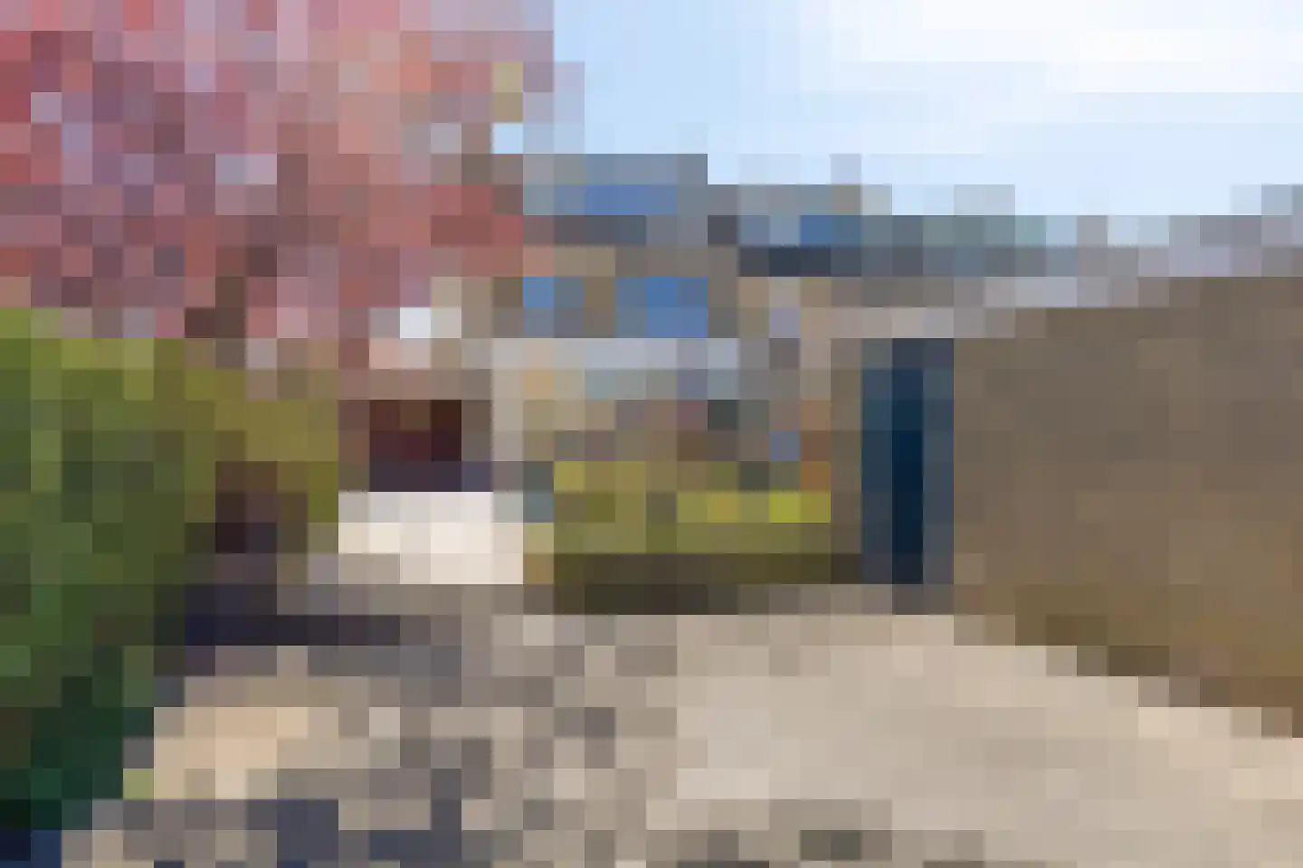 Mahlerstraat 1 Lisse thumbnail 37