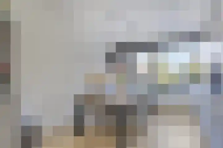 Mahlerstraat 10 Leiden thumbnail 6
