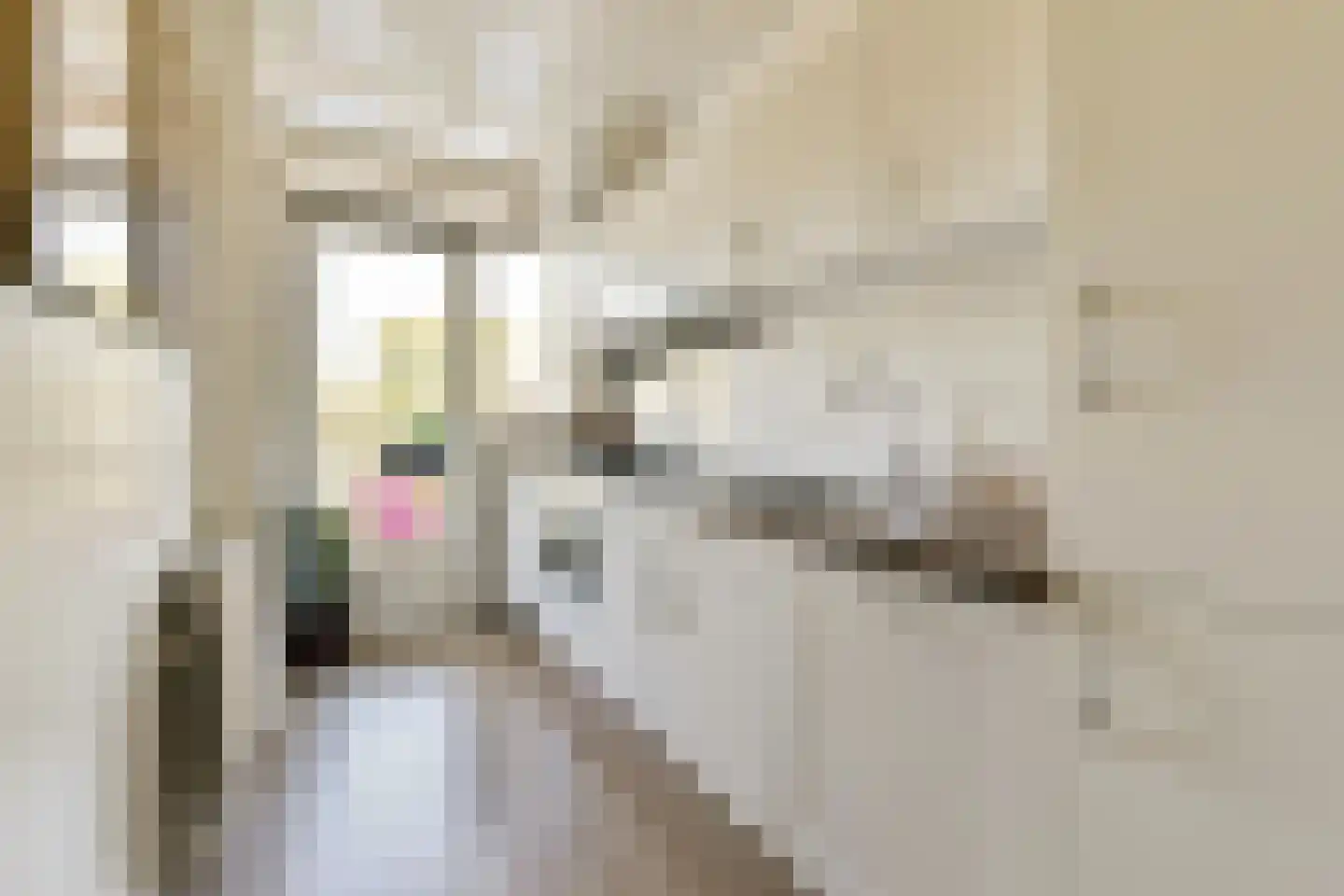 Mahlerstraat 106 Leiden thumbnail 10