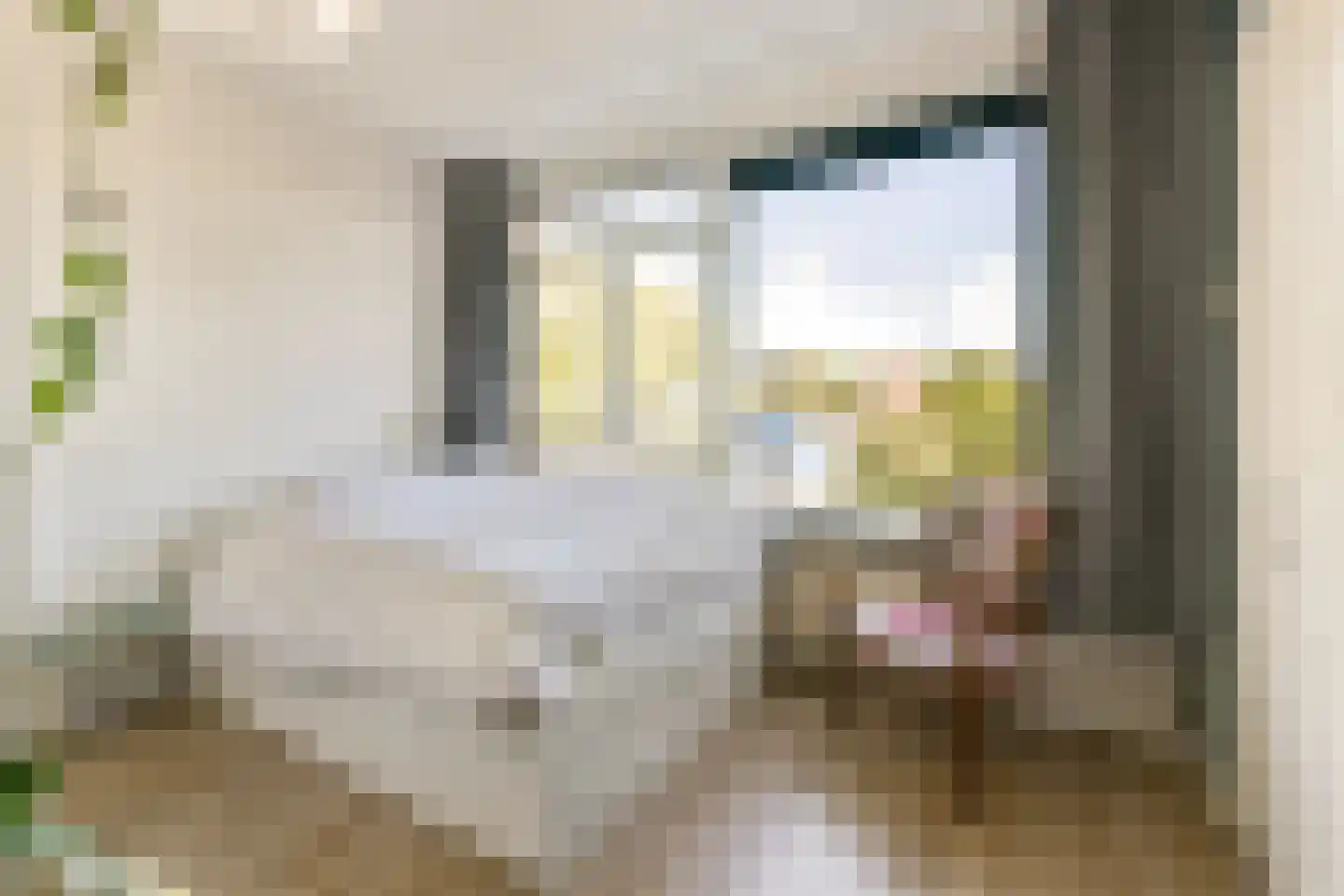 Mahlerstraat 106 Leiden thumbnail 7