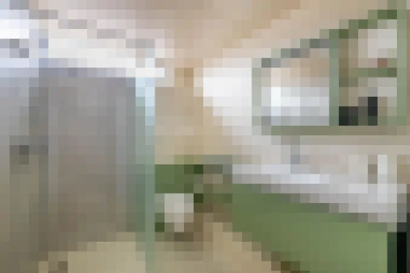Mahlerstraat 13 Almelo thumbnail 4