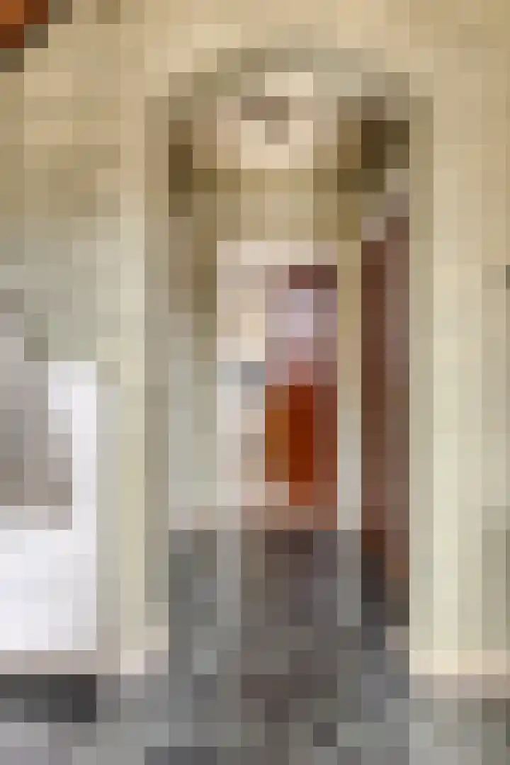 Mahlerstraat 13 St. Willebrord thumbnail 4