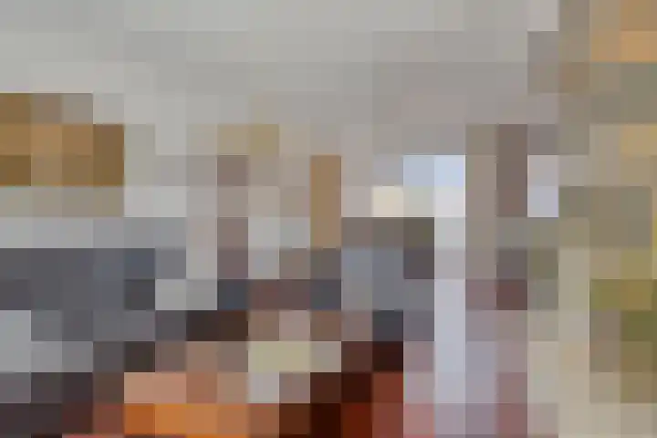 Mahlerstraat 13 St. Willebrord thumbnail 7
