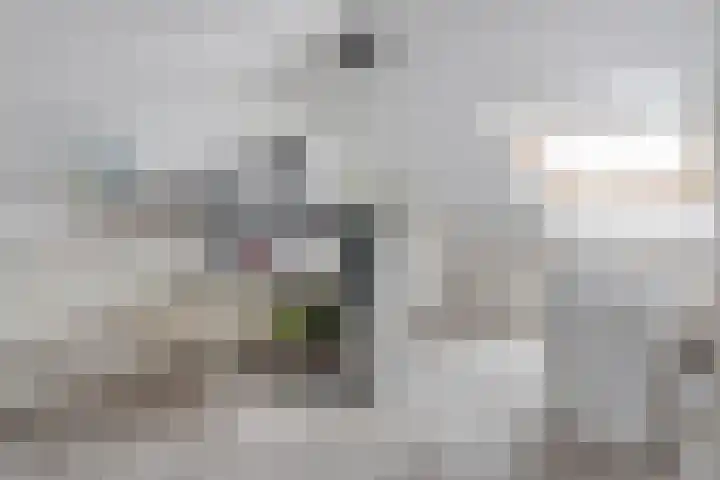 Mahlerstraat 15 Almelo thumbnail 17