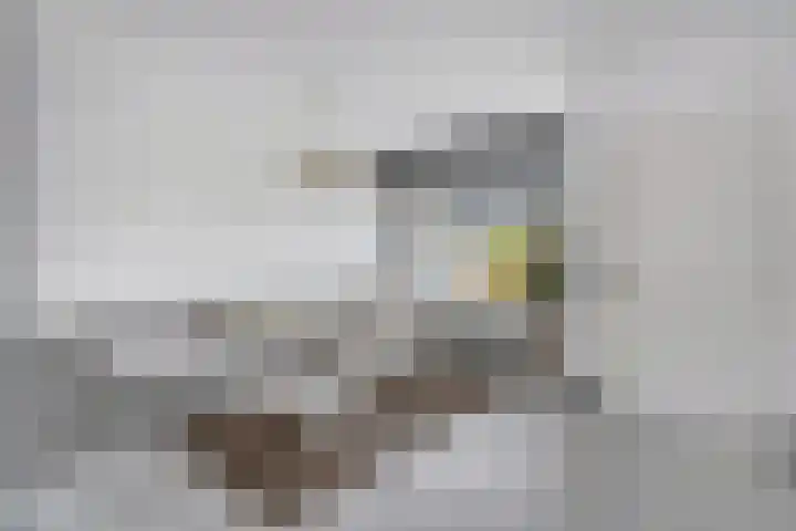 Mahlerstraat 15 Almelo thumbnail 7
