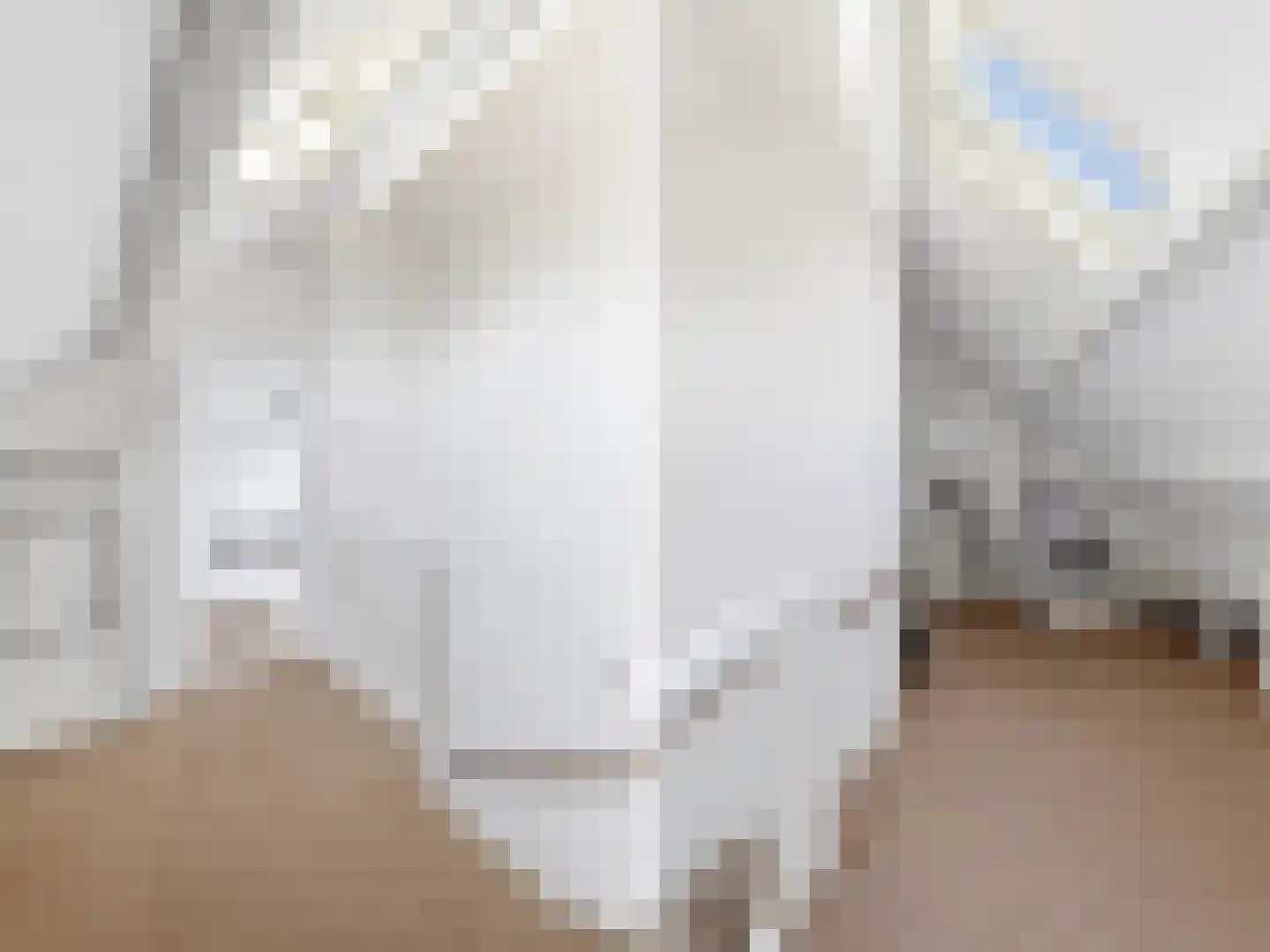 Mahlerstraat 16 Zutphen thumbnail 17