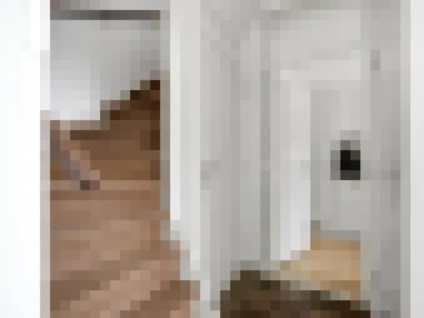 Mahlerstraat 16 Zutphen thumbnail 7
