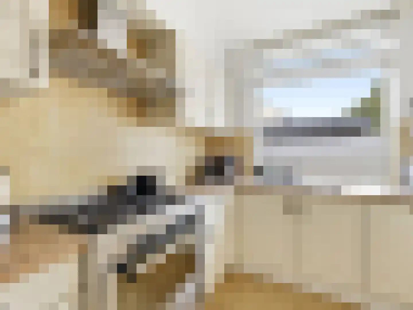 Mahlerstraat 16 Zutphen thumbnail 8