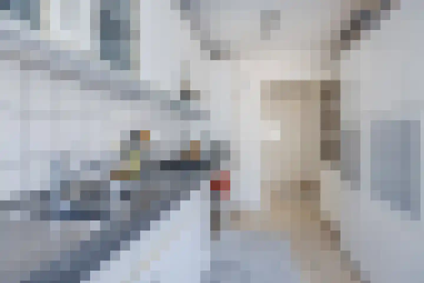Mahlerstraat 19 Tilburg thumbnail 14