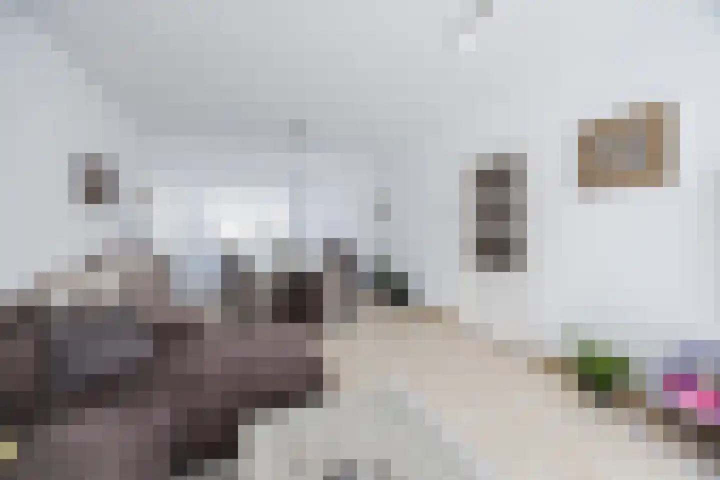 Mahlerstraat 19 Tilburg thumbnail 5