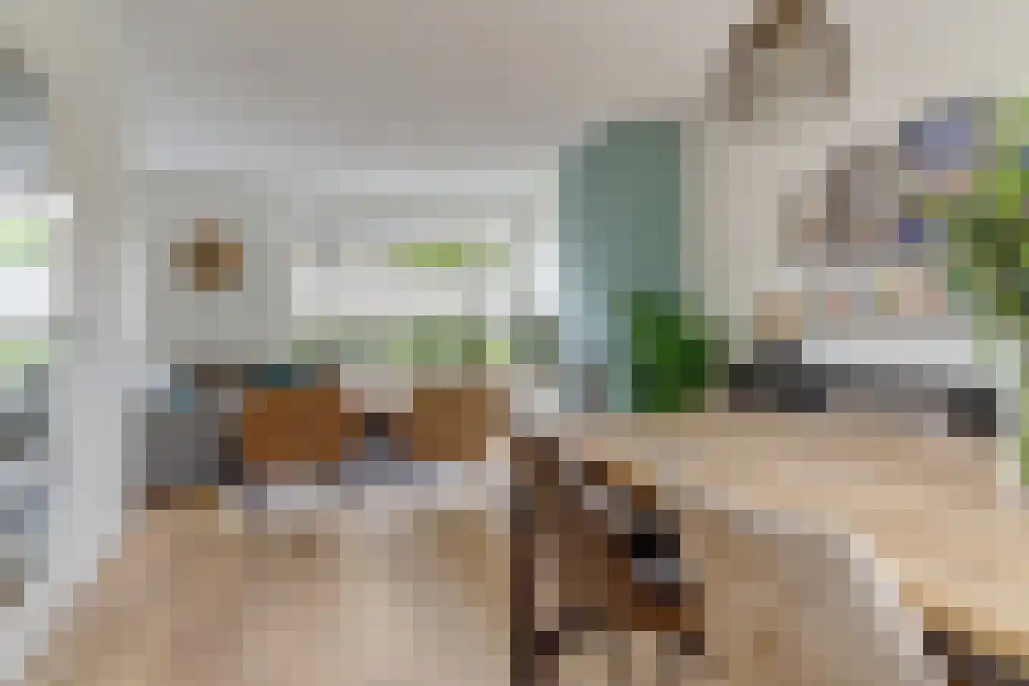 Mahlerstraat 2 Elst thumbnail 12