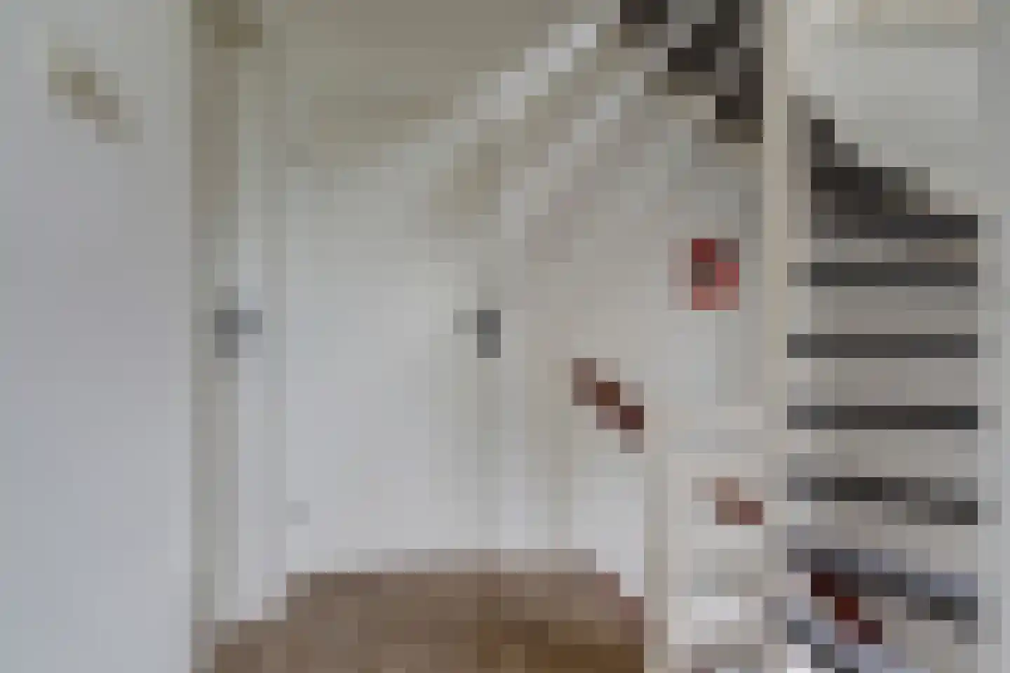 Mahlerstraat 2 Elst thumbnail 18