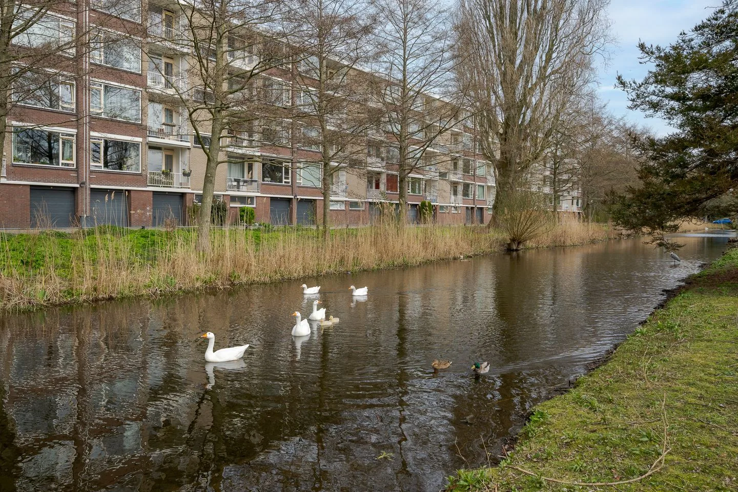 Mahlerstraat 20 Leiden thumbnail 37