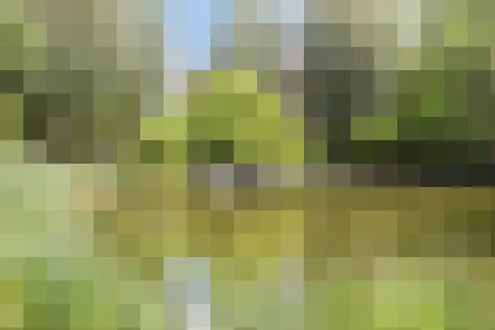 Mahlerstraat 22 Vlaardingen thumbnail 23