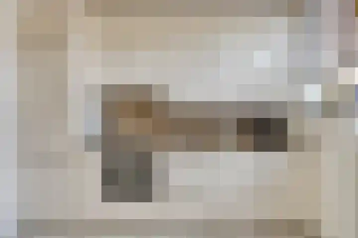 Mahlerstraat 22 Vlaardingen thumbnail 7