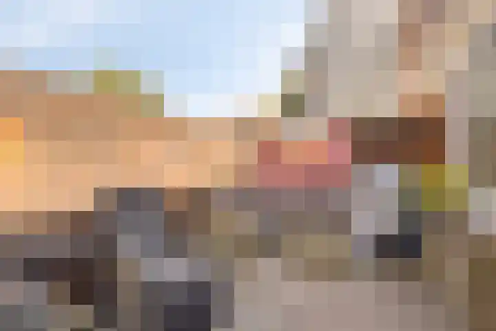 Mahlerstraat 22 Vlaardingen thumbnail 8
