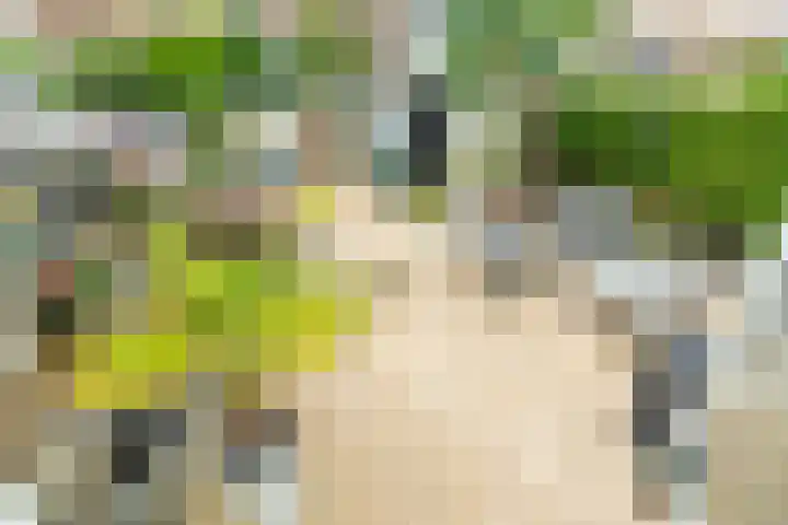 Mahlerstraat 23 in Leiden