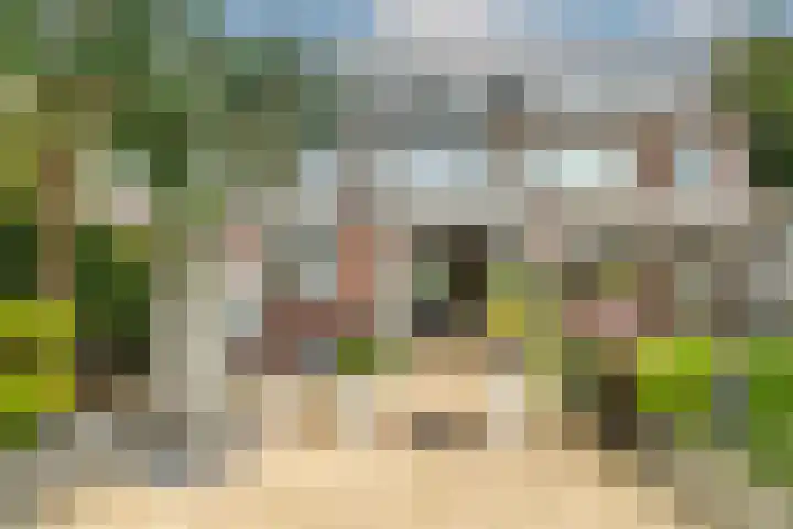 Mahlerstraat 23 Leiden thumbnail 5