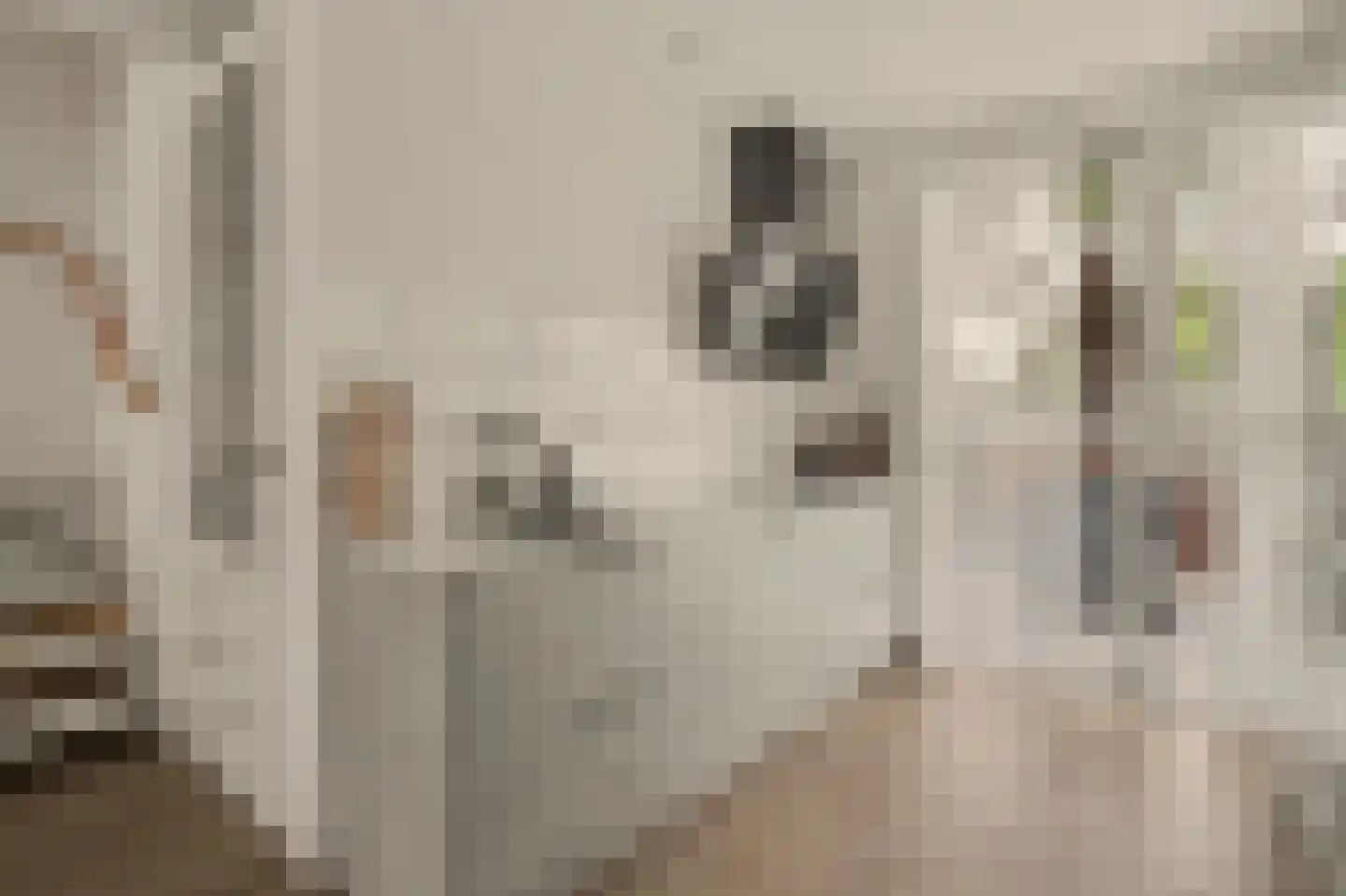 Mahlerstraat 230 Tilburg thumbnail 12