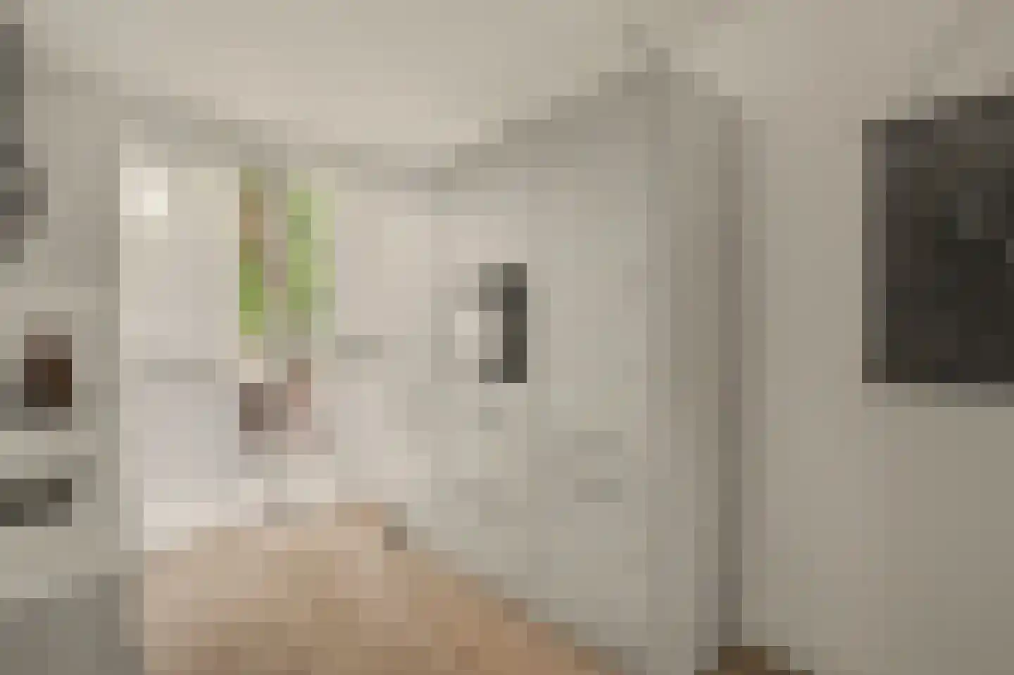 Mahlerstraat 230 Tilburg thumbnail 13