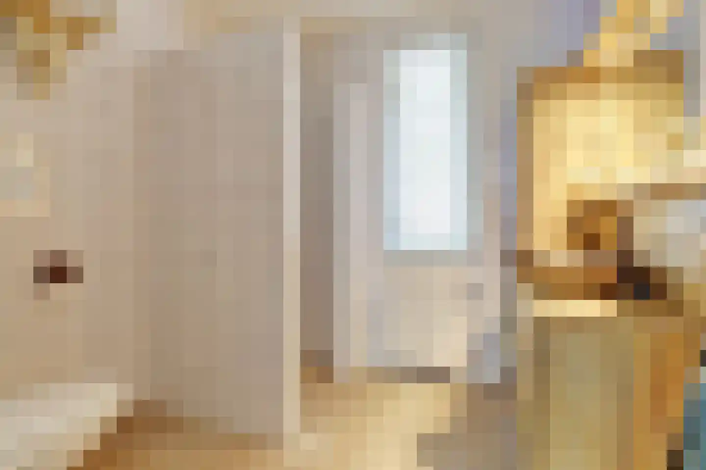Mahlerstraat 230 Tilburg thumbnail 20