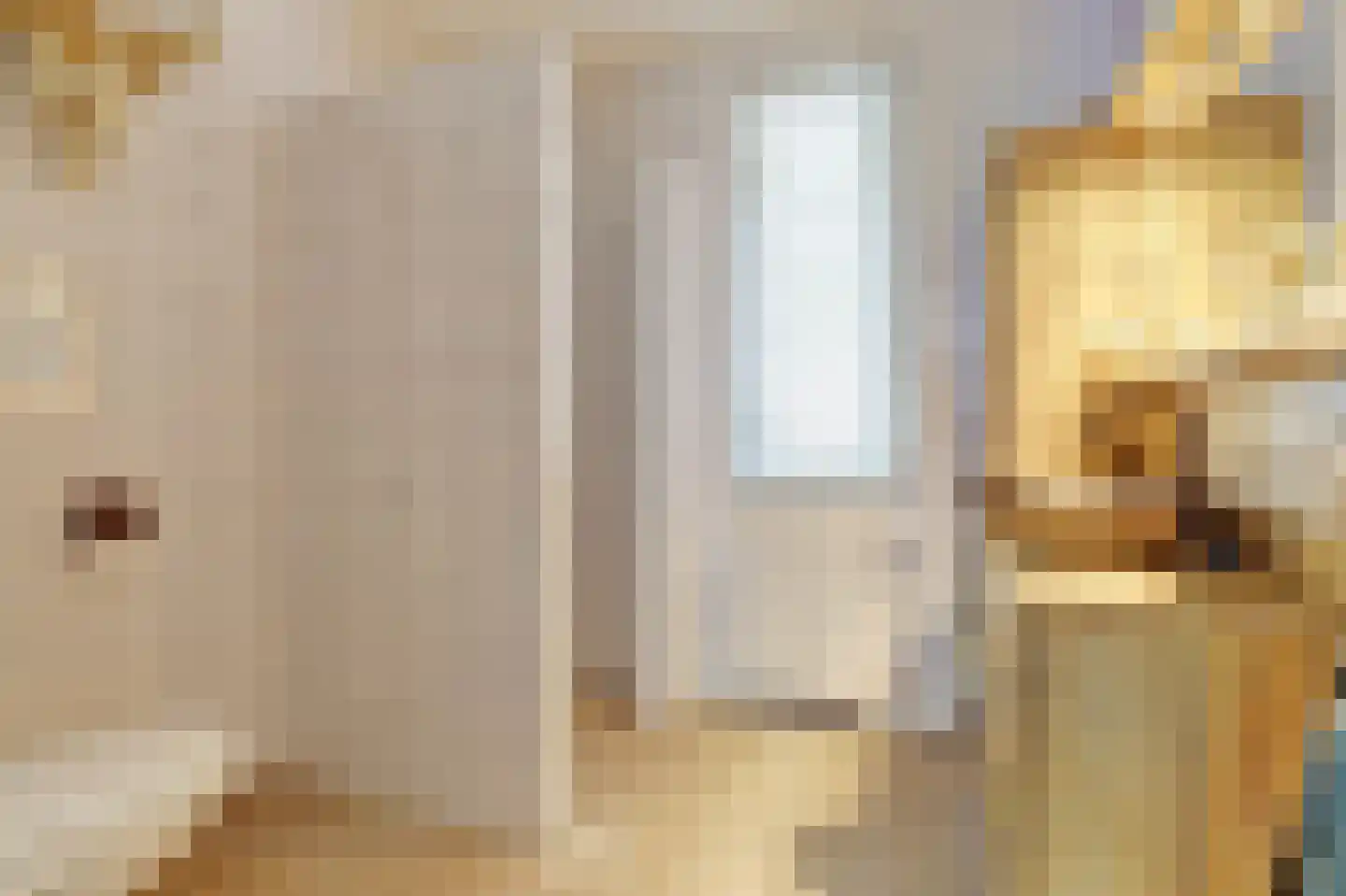 Mahlerstraat 230 Tilburg thumbnail 24