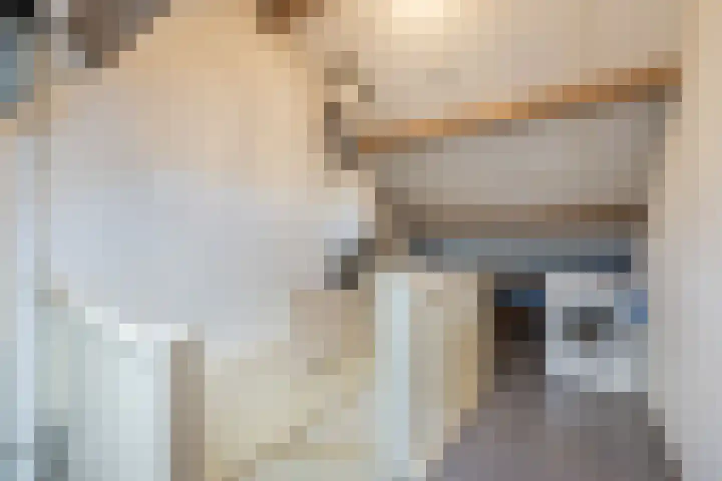 Mahlerstraat 25 Tilburg thumbnail 25