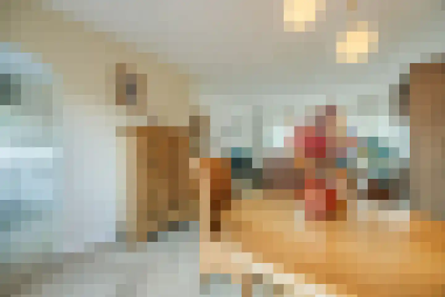 Mahlerstraat 25 Tilburg thumbnail 8