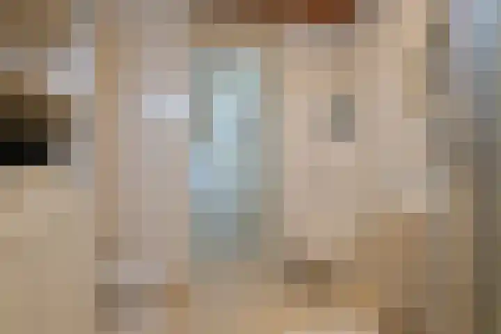 Mahlerstraat 26 Almelo thumbnail 21