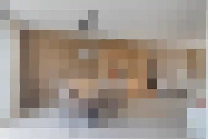 Mahlerstraat 3 Capelle aan den IJssel thumbnail 11