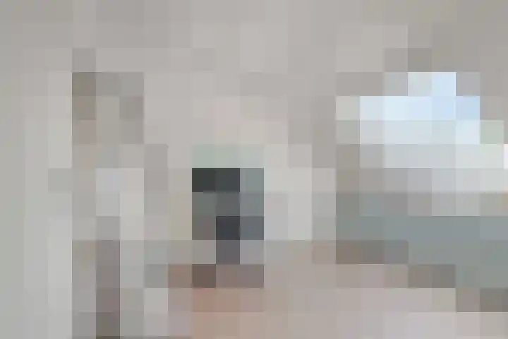Mahlerstraat 3 Capelle aan den IJssel thumbnail 23