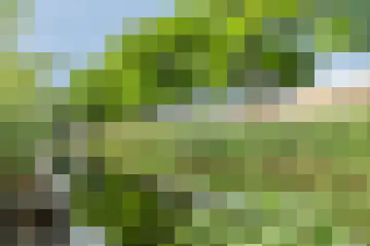 Mahlerstraat 3 Capelle aan den IJssel thumbnail 29