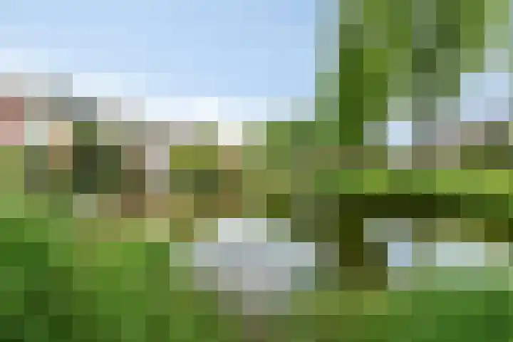 Mahlerstraat 3 Capelle aan den IJssel thumbnail 30