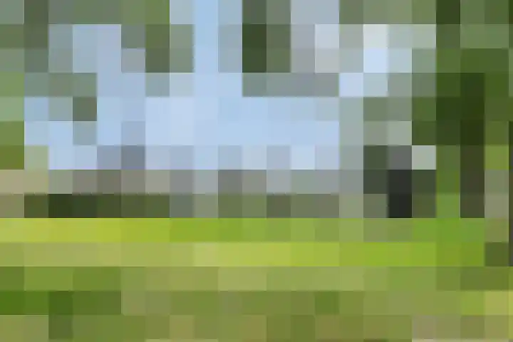 Mahlerstraat 3 Capelle aan den IJssel thumbnail 31