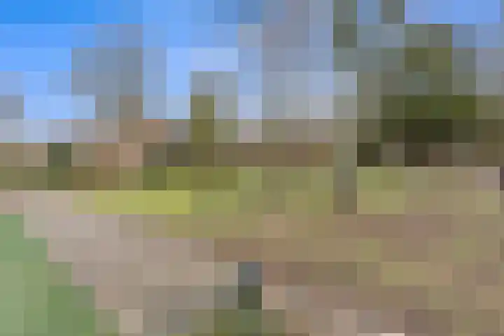 Mahlerstraat 46 Leiden thumbnail 32
